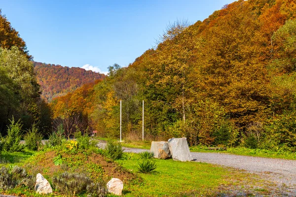 Осенний Горный Пейзаж Пожелтевшие Покрасневшие Осенние Деревья Сочетании Зелеными Иглами — стоковое фото