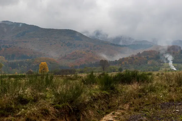 ウクライナのカルパティアの秋の山の風景 緑の針と組み合わせた黄色と赤の木 霧の多い日には雲が立ち並び 山は鬱蒼とした森に覆われています — ストック写真