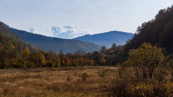 秋の山の風景 黄色と緑の針と青い空と組み合わせて紅葉の木 ウクライナのカルパチアのカラフルな秋の風景 — ストック写真
