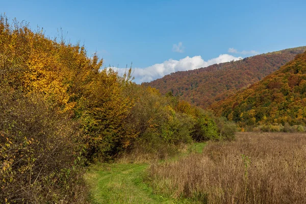 Herbstliche Berglandschaft Vergilbte Und Gerötete Herbstbäume Kombiniert Mit Grünen Nadeln — Stockfoto