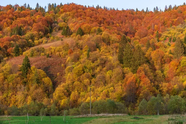 Podzimní Horská Krajina Nažloutlé Zarudlé Podzimní Stromy Kombinaci Zelenými Jehličnany — Stock fotografie
