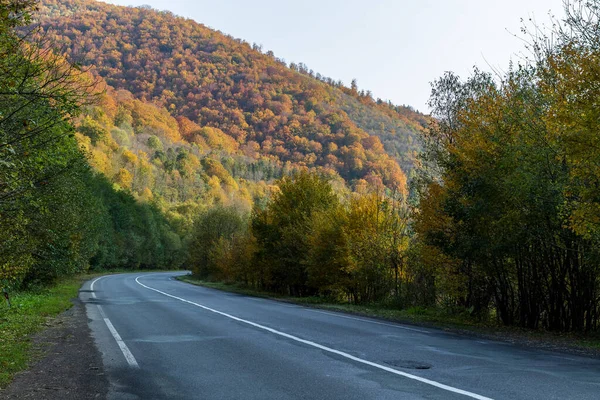 Herbstliche Berglandschaft Vergilbte Und Gerötete Herbstbäume Kombiniert Mit Grünen Nadeln — Stockfoto