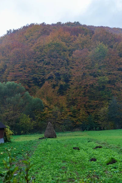 Podzimní Horská Krajina Nažloutlé Zarudlé Podzimní Stromy Kombinaci Zelenými Jehličkami — Stock fotografie