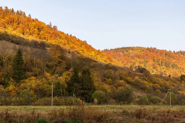 Осенний Горный Пейзаж Пожелтевшие Покрасневшие Осенние Деревья Сочетании Зелеными Иглами — стоковое фото