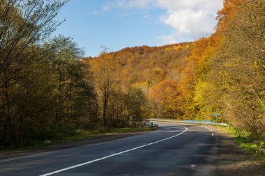 Sonbahar dağ manzarası. Sarı ve kırmızıya boyanmış sonbahar ağaçları. Küçük bir yolun kenarında yeşil iğnelerle birleştirilmiş. Ukrayna Karpatları 'nda renkli sonbahar manzarası.