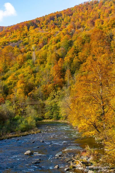 Paisagem Outono Vale Montês Árvores Amarelas Vermelhas Combinadas Com Agulhas — Fotografia de Stock