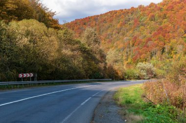 Sonbahar dağ manzarası. Sarı ve kırmızıya boyanmış sonbahar ağaçları. Yeşil iğneler ve ıssız bir yolun kenarında mavi gökyüzü. Ukrayna Karpatları 'nda renkli sonbahar manzarası.