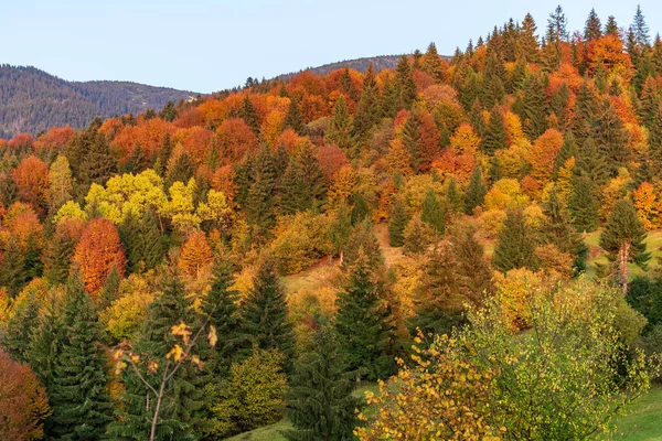 Podzimní Horská Krajina Nažloutlé Zarudlé Podzimní Stromy Kombinaci Zelenými Jehličnany — Stock fotografie
