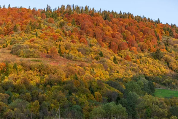 Podzimní Horská Krajina Nažloutlé Zarudlé Podzimní Stromy Kombinaci Zelenými Jehličnany — Stock fotografie