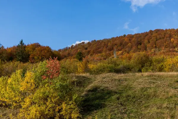 Гори Осіннього Сяйва Жовті Почервонілі Осінні Дерева Поєднанні Зеленою Голкою — стокове фото