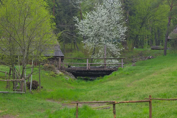 丸い木の丸太でできた小さな古い橋 オフロード輸送のための空の田舎道 若い明るい緑の芝生と春の森の風景 — ストック写真