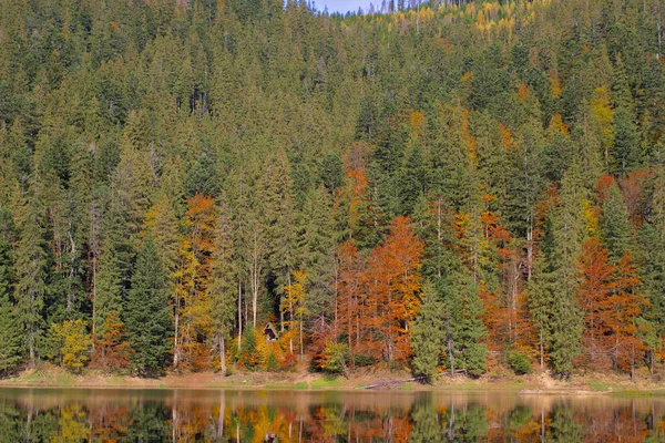 Lago Pitoresco Floresta Outono Cenário Lindo Com Reflexo Espelho Uma — Fotografia de Stock
