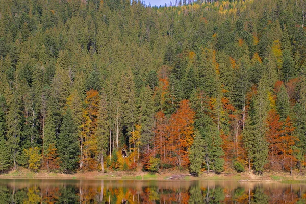 Pittoresk Sjö Höstskogen Underbar Natur Med Spegelbild Granskog Vattenytan Mountain — Stockfoto