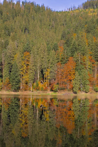 Pittoresco Lago Nella Foresta Autunnale Splendido Scenario Con Riflesso Speculare — Foto Stock