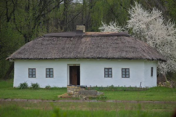 Kyjev Pirogovo Ukrajina Května 2021 Tradiční Ukrajinský Starý Dům Slaměnou — Stock fotografie