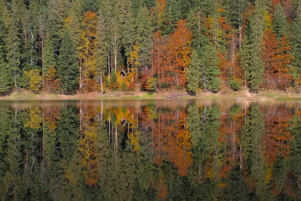 Malownicze Jezioro Jesiennym Lesie Wspaniałe Krajobrazy Lustrzanym Odbiciem Świerkowego Lasu — Zdjęcie stockowe