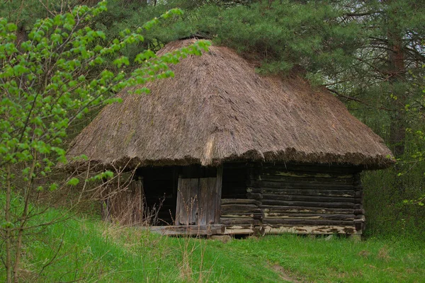 Kyiv Pirogovo Ukraina Mei 2021 Rumah Tua Ukrainian Tradisional Dengan — Stok Foto