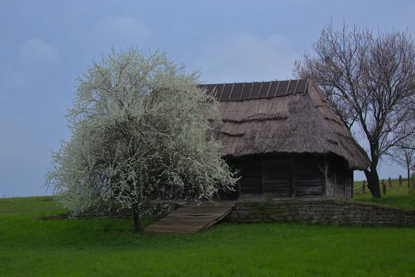 Kyjev Pirogovo Ukrajina Května 2021 Tradiční Ukrajinský Starý Dům Slaměnou — Stock fotografie