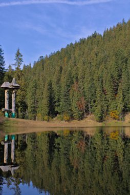 Sonbahar ormanındaki resim gibi bir göl. Su yüzeyinde ladin ormanının ayna yansıması olan muhteşem bir manzara. Ukrayna, Carpathian 'daki Mountain Lake Synevyr. Zakarpattia.