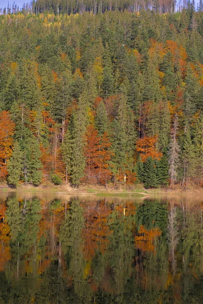 Lac Pittoresque Dans Forêt Automne Superbe Paysage Avec Miroir Reflet — Photo