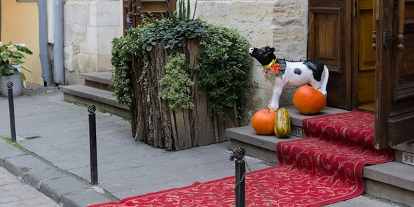 Festiwal Żniw Jasne Pomarańczowe Dynie Umieszczone Pobliżu Dekoracyjnej Figurki Przed — Zdjęcie stockowe