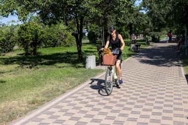 Kyiv Ukrayna - 14 Ağustos 2020: Sepette köpeği olan genç bir kadın şehir parkında bisiklet sürüyor. Dünyadaki koronavirüs salgınının karantina döneminde sokaklarda yürümek..
