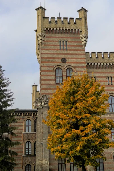 Paesaggio Autunnale Una Giornata Sole Vecchio Edificio Erge Dietro Gli — Foto Stock