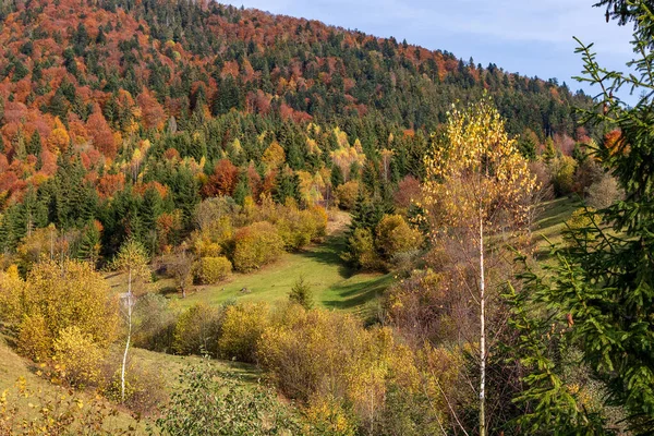 Hermoso Paisaje Valles Cordilleras Bosques Otoño Escena Colorida Del Paisaje — Foto de Stock