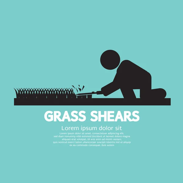 Gras schaar vectorillustratie. — Stockvector