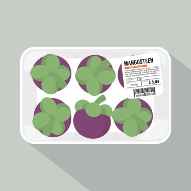 Mangosteen Pack vektör çizim.
