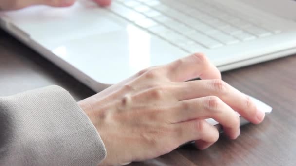 Büroangestellte tippt auf der Tastatur, Geschäftskonzept. — Stockvideo