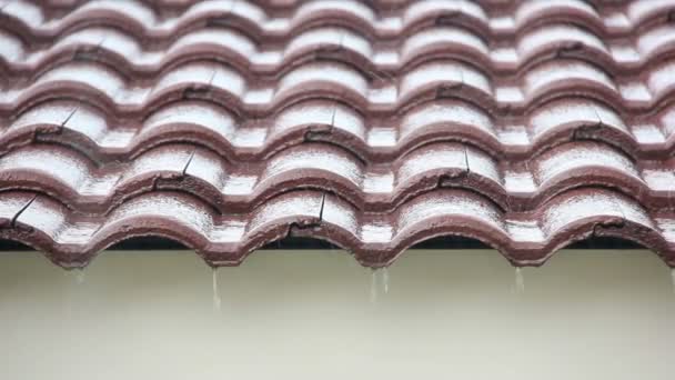 茶色の煉瓦の屋根に落ちる雨の低下. — ストック動画