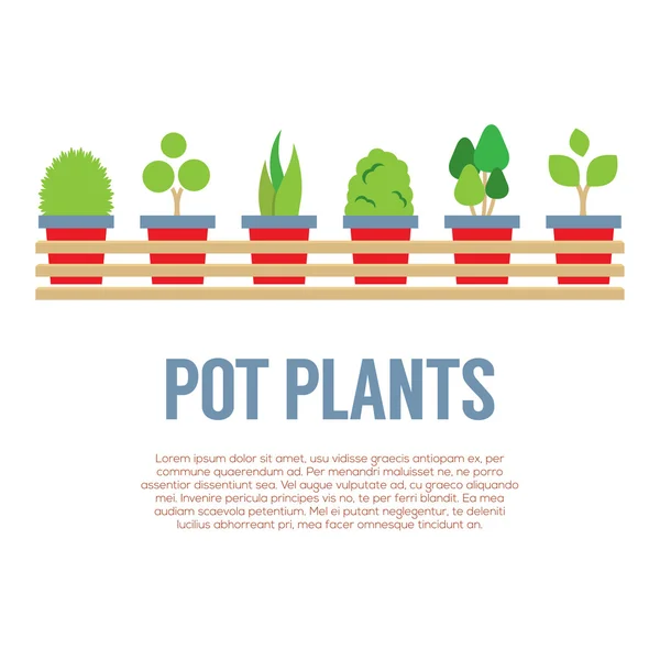 Pot Plants In Long Wooden Pot Vector Illustration — Stock Vector