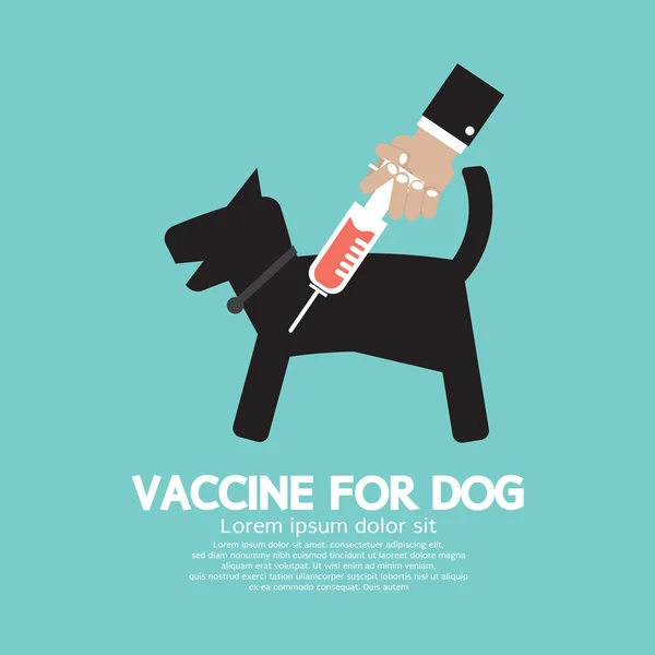 Kutya vakcina, hogy megakadályozzák a betegség vektor illusztráció — Stock Vector