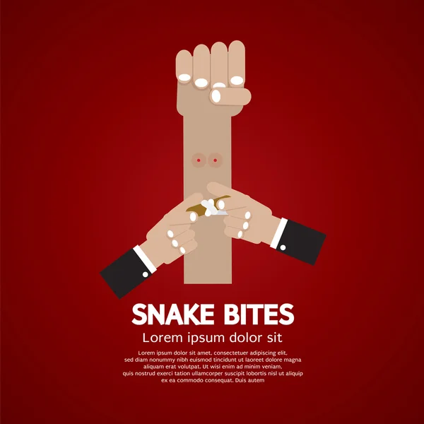 Morsi di serpente sull'avambraccio illustrazione vettoriale — Vettoriale Stock