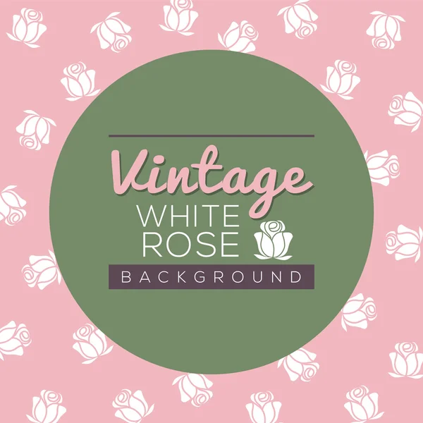 Vintage White Roses Background Vector Illustration — Stock Vector