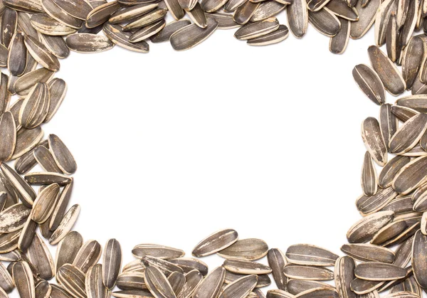 Sunflower seeds frame. — Stock Photo, Image