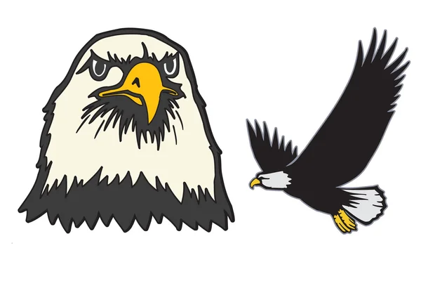 Білоголовий орлан — стоковий вектор