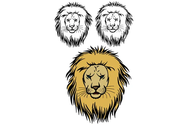 Lions — Image vectorielle