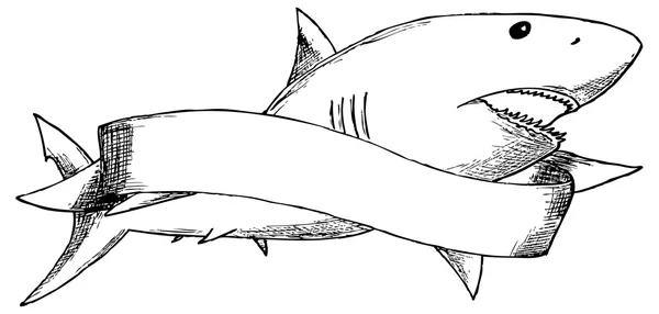 Requin, noir et blanc — Image vectorielle