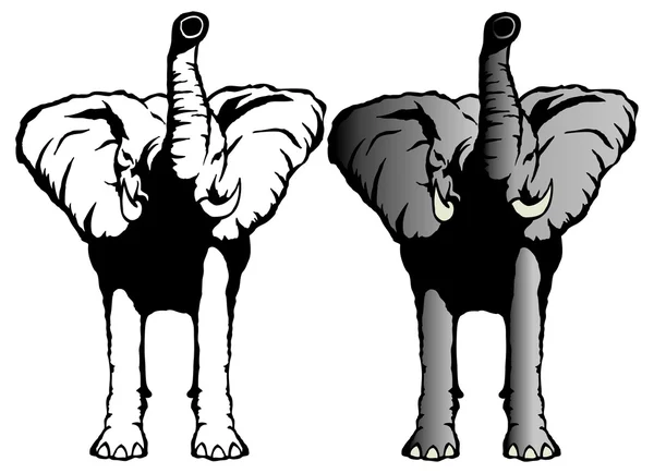 Deux éléphants — Image vectorielle