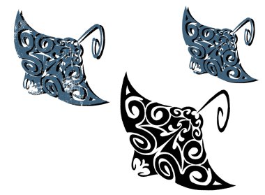 Kabile stingrays