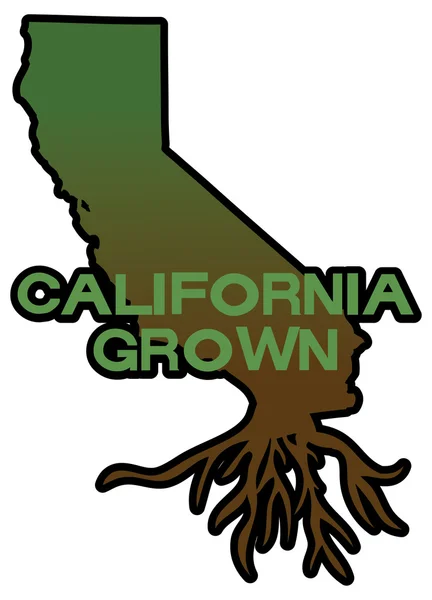 "California grown "parole e mappa di California — Vettoriale Stock