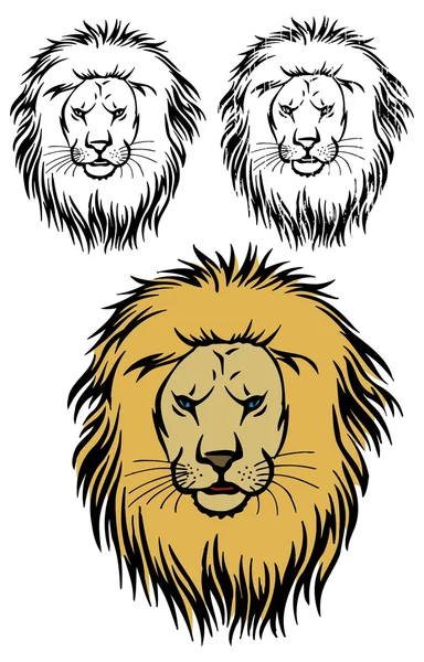 Lion head in 3  versions — Stock Vector