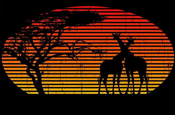 Silueta de jirafas en África al atardecer — Vector de stock