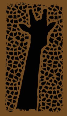 Zürafa kafa siyah arka plan üzerine