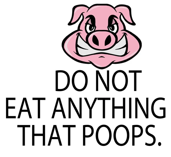 Pig poops ilustração — Vetor de Stock