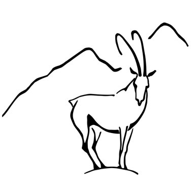 dağlarda longhorned keçi