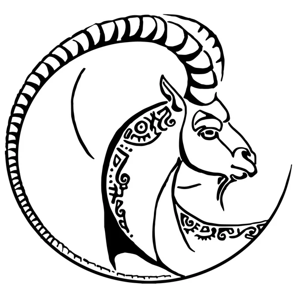 Head of goat — Stock Vector