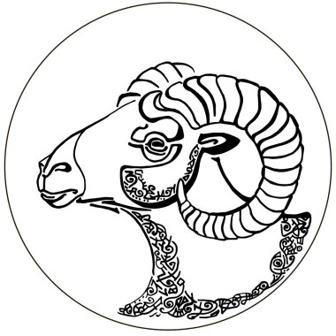 longhorned keçi. kafa. profil